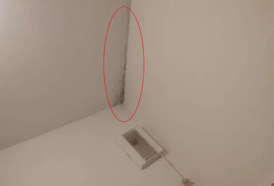 Angle de plafond noirci par les moisissures dans un appartement