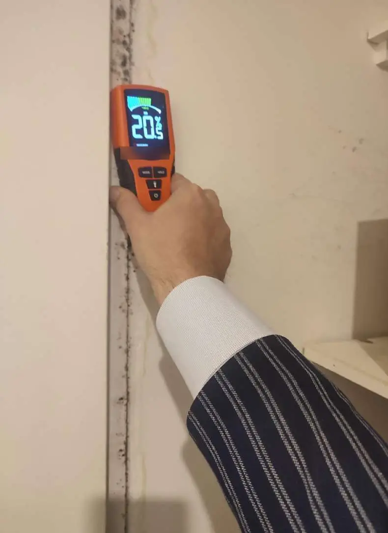 Humidimètre tenu contre un angle de mur taché de moisissures, écran à 20,5 %
