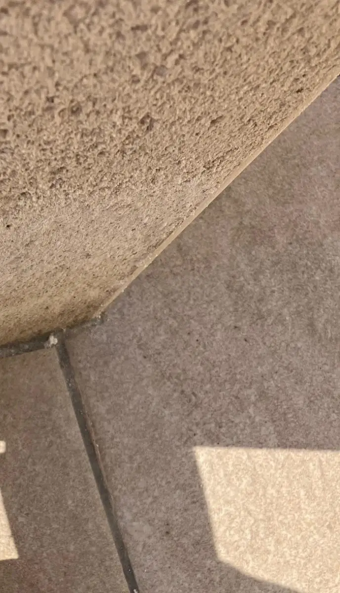 Pied de mur enduit et carrelage extérieur sans décollement ni fissure
